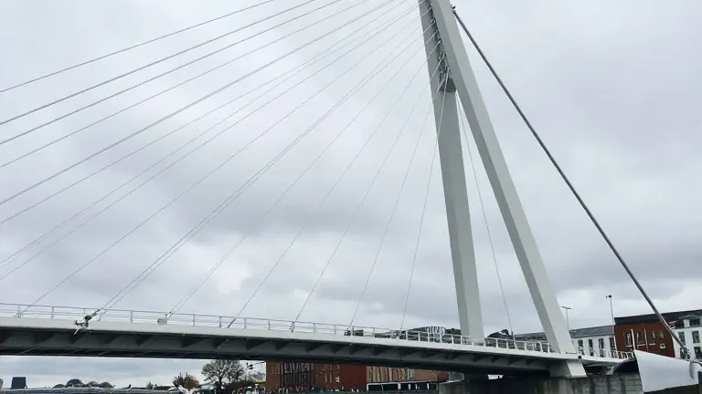 Illustration for: Dublin swans hit bridge cables